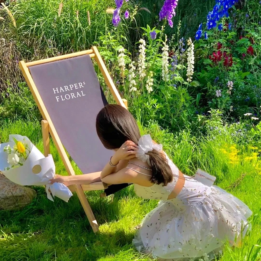 破茧成蝶扶正道