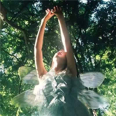 不要动最后一张纸巾